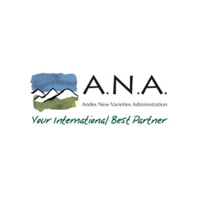 A.N.A. Chile